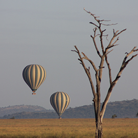 Serengeti Balloon Safari